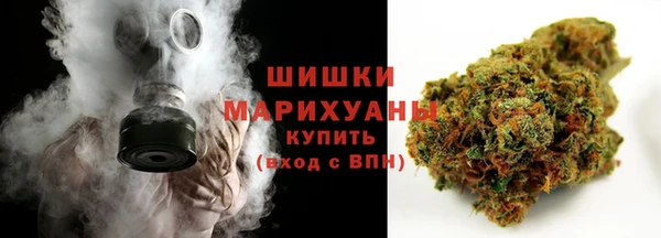 ГАЛЛЮЦИНОГЕННЫЕ ГРИБЫ Балахна