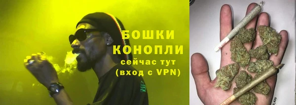 ГАЛЛЮЦИНОГЕННЫЕ ГРИБЫ Балахна