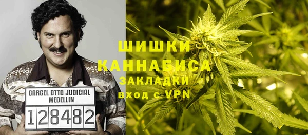 сатива Балабаново