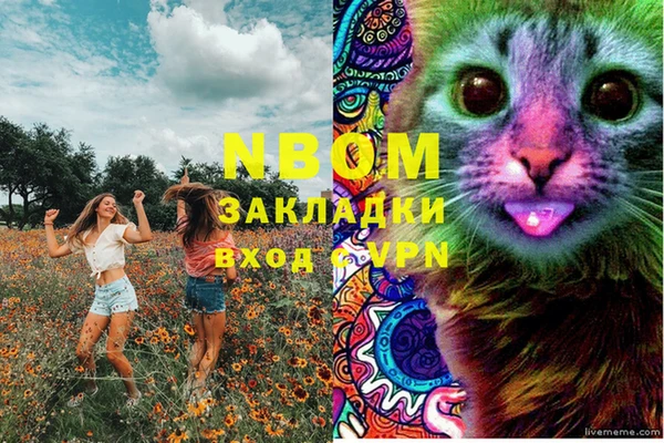 сатива Балабаново