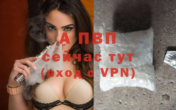 сатива Балабаново